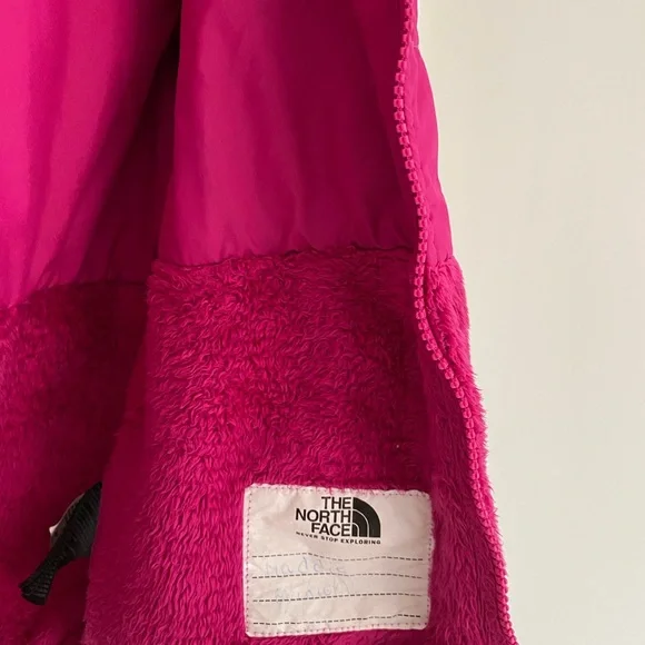 The North Face Fuchsia Hooded Fleece Jacket